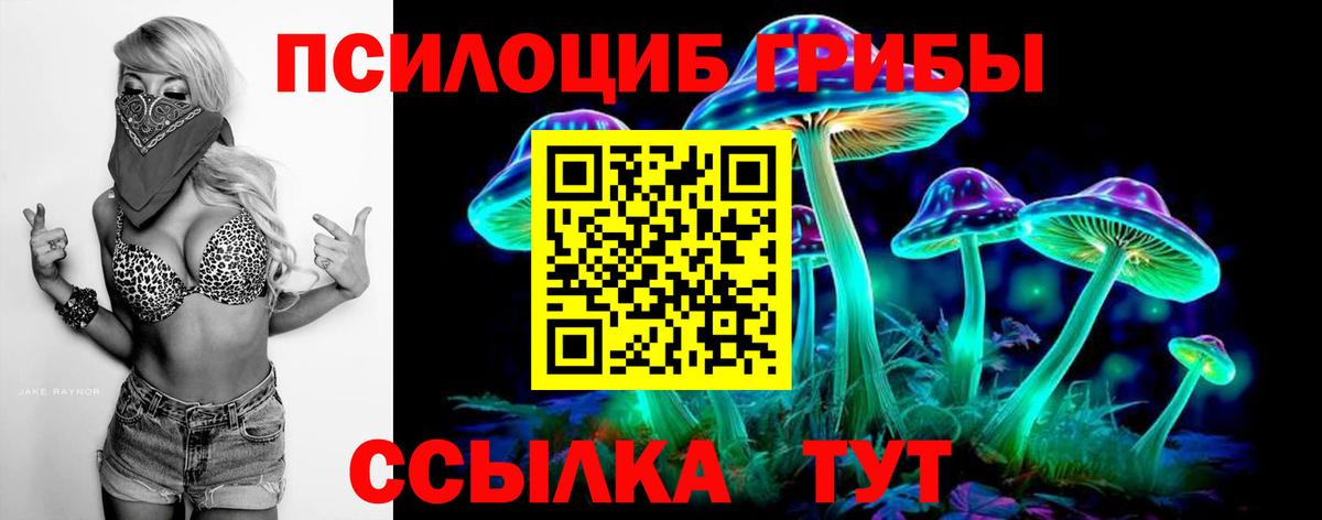 Псилоцибиновые грибы MAGIC MUSHROOMS  Вход с VPN  Реутов 